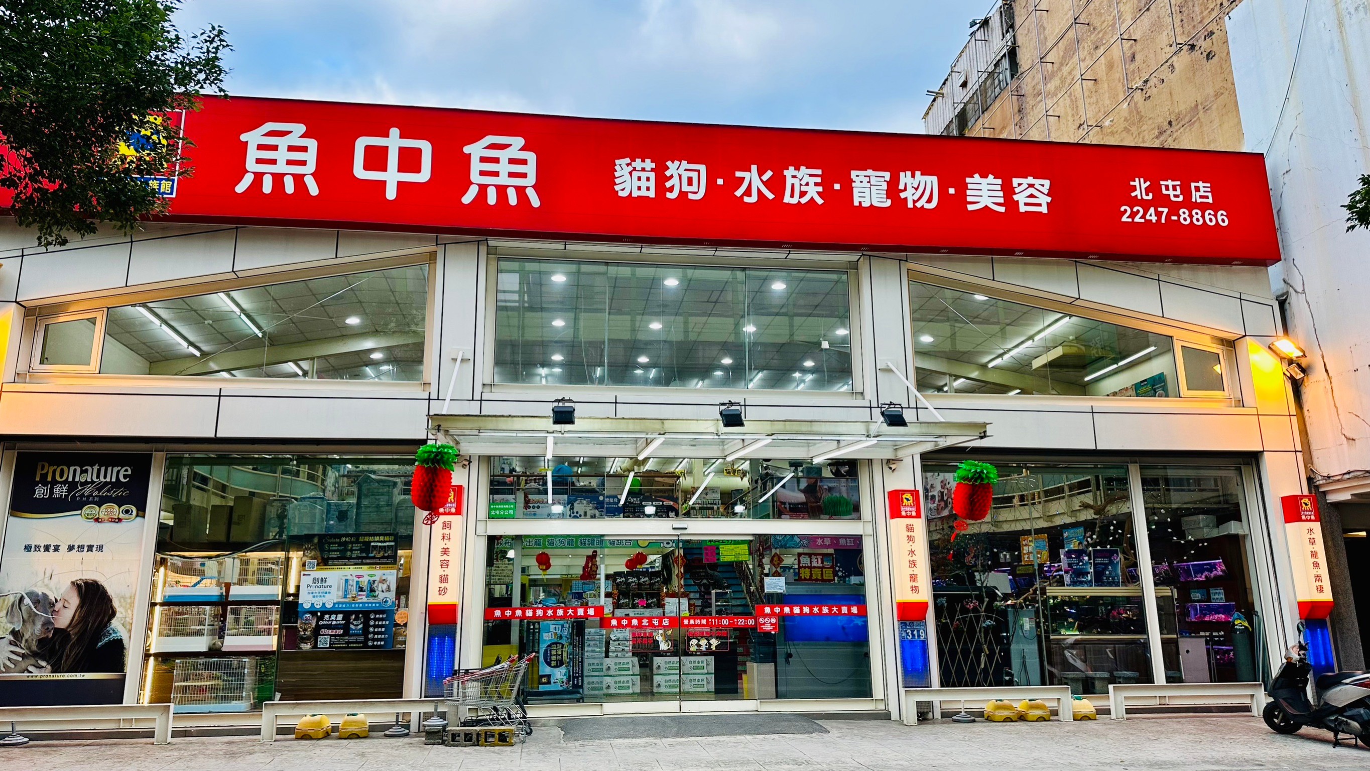 魚中魚貓狗水族大賣場 北屯店.jpg