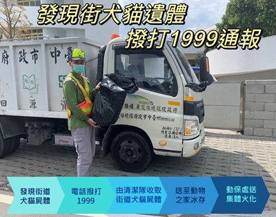 打造友善動物城市,讓街道毛孩有尊嚴地離開