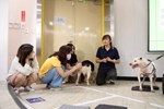 1130817老犬行為-3