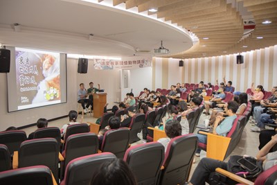 從浪浪到黃阿瑪-貓奴的後宮日常,與「黃阿瑪的後宮生活」一起談談貓主子有趣的宮鬥生活!