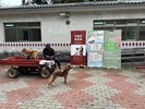 113年梨山專案_241008_23