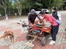 113年梨山專案_241008_24