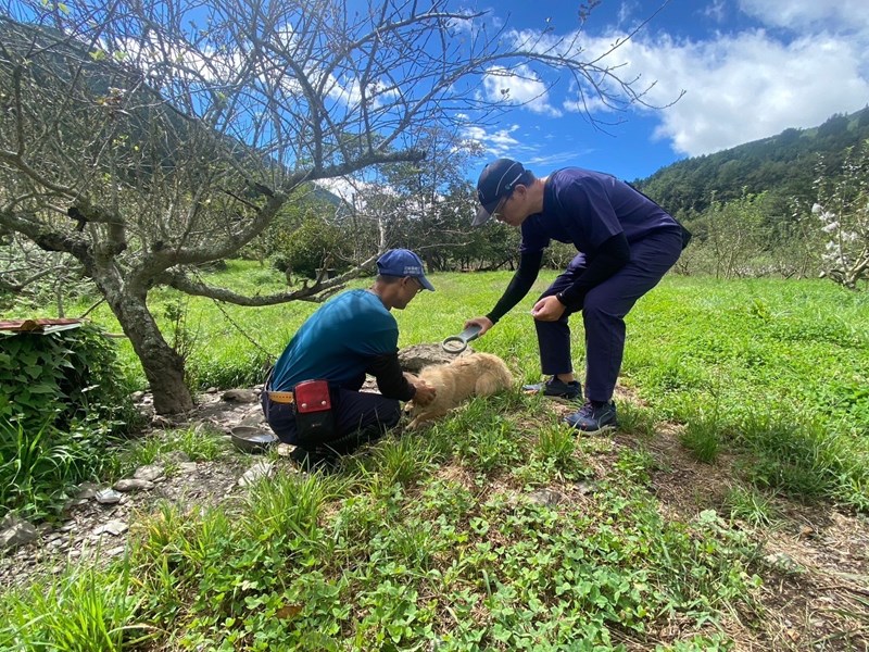 113年梨山專案_241008_15