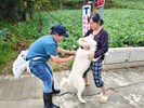 113年梨山專案_241008_7