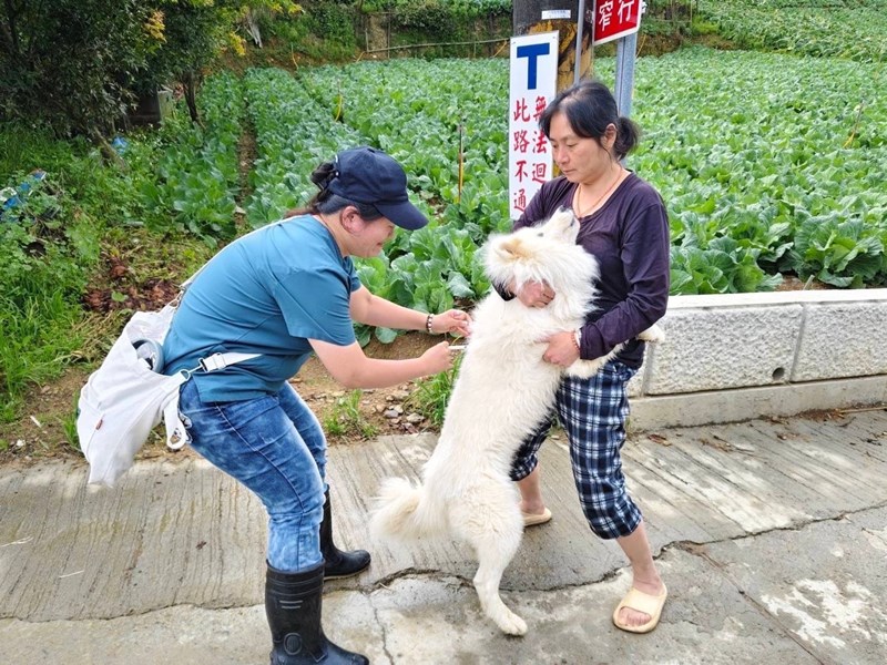 113年梨山專案_241008_7
