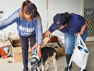 113年梨山專案_241008_9