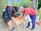 113年梨山專案_241008_5