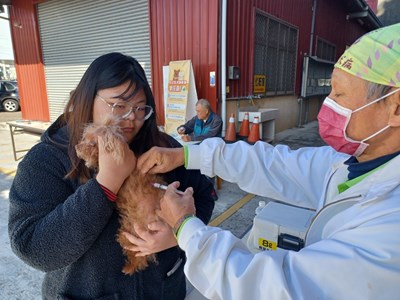 獸醫師為毛孩注射狂犬病疫苗