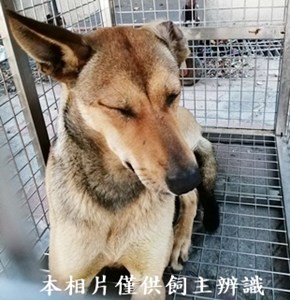 11404190005收D