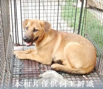 11404190006收T