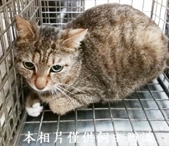 11404190011收70