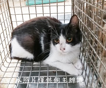11404190014收21
