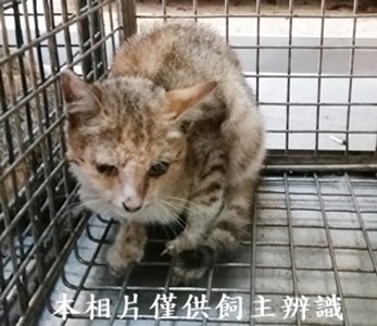 11404190017收61