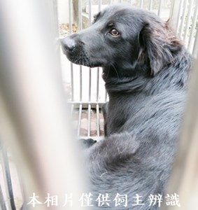11404200003收K