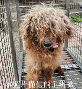 11404210002收-N