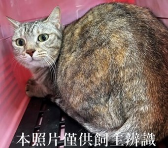 11404210014收-棄