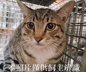 11404220008收-14