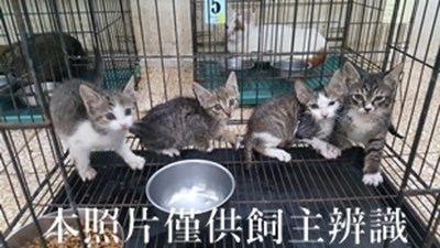 11404220022-25奴-57