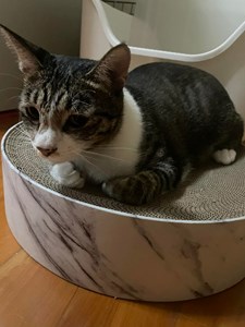IMG_0695.jpeg