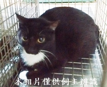 11404230001收23