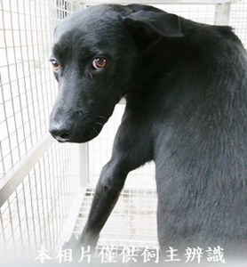 11404230003收K