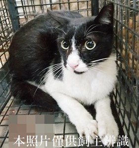11404240002收49
