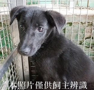 11404240008收G
