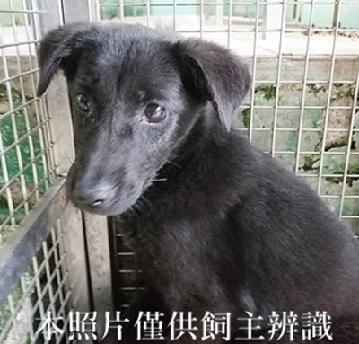 11404240008收G