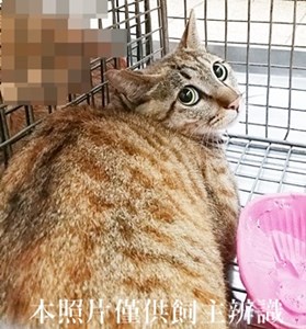 11404240011收29