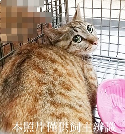 11404240011收29