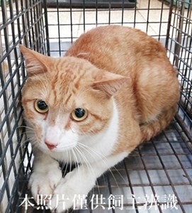 11404240012收32