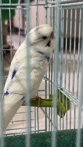 IMG_9899.jpeg