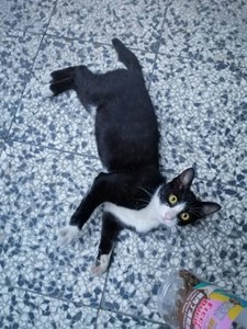 IMG_6197.jpeg (1)