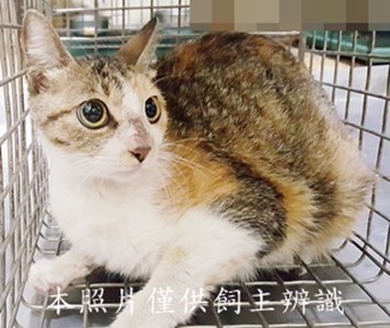 11404280003收-58