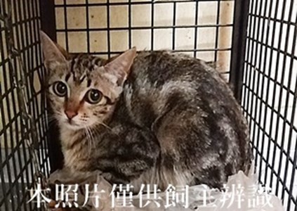 11404290003收17