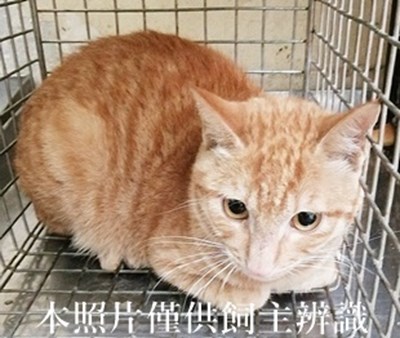 11404290004收29