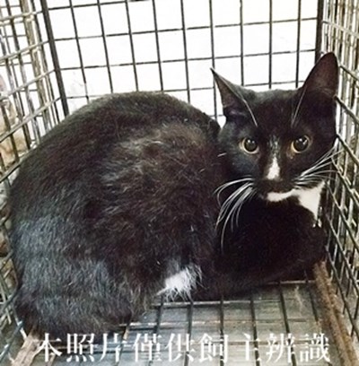 11404290007收49