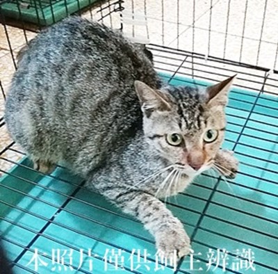 11404290020收30