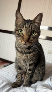 IMG_7143.jpeg