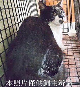 11405010005收-63