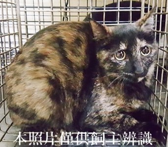 11405010006收-28