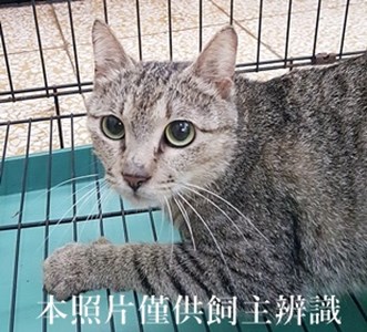 11405010018收-22