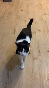 IMG_0151.jpeg