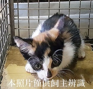 11405200005收-56