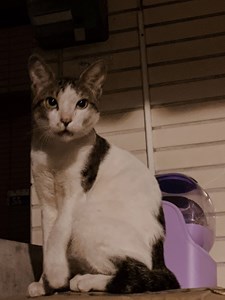 IMG_2111.jpeg