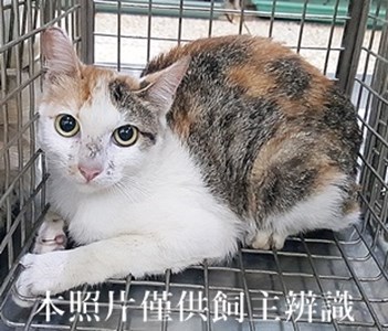 11405200014收-5