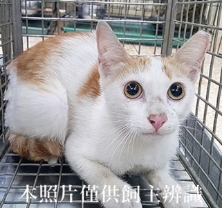 11405200015收-50