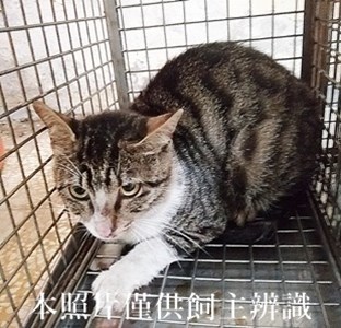 11405210002收38