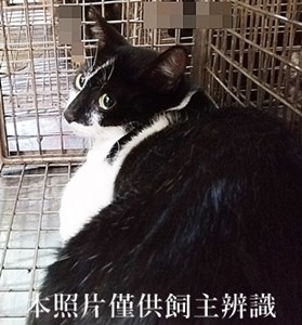 11405220001收18