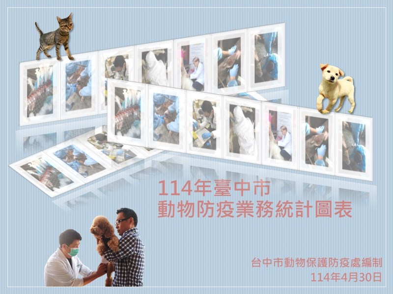 投影片1